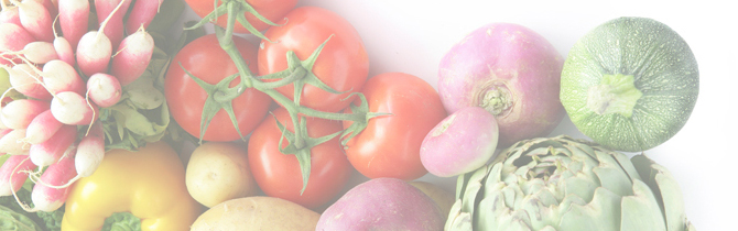 栄養士よりごあいさつ